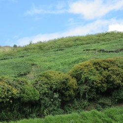 La Reunion