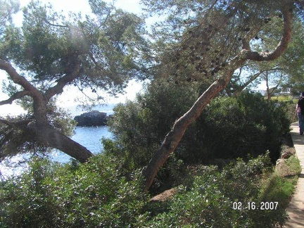 Cala-Figuera-Mallorca-2007-02-0010