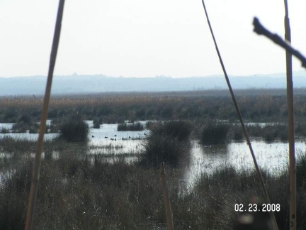 Parc-Albufera-2008-02-0005